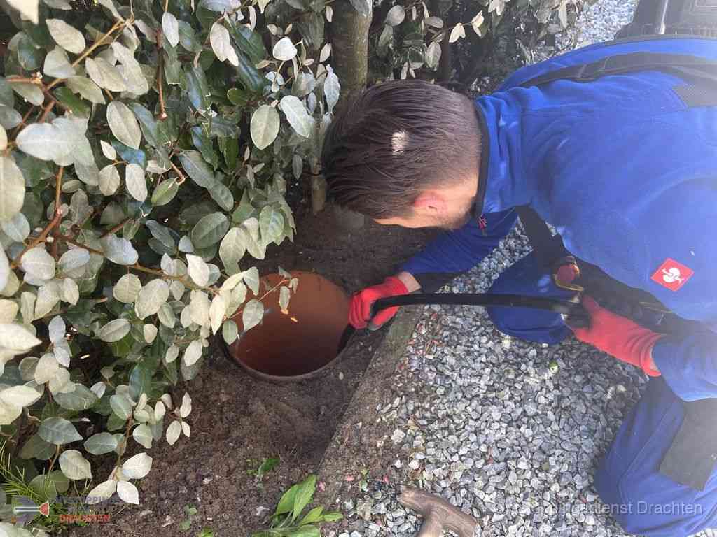Rioolvliegjes Drachten Rioolvliegjes Drachten